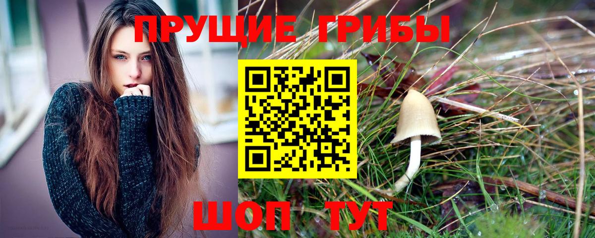 Галлюциногенные грибы Psilocybe  Вход с VPN  Шадринск 